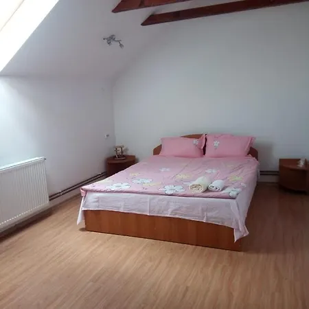 Pensiunea Valea Beiului فندق مبيت وإفطار